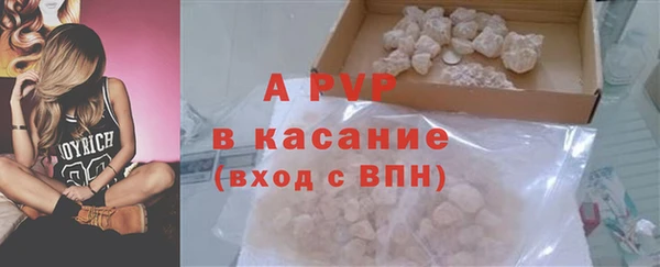 PSILOCYBIN Балабаново