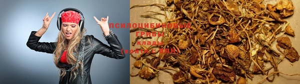 твердый Балахна