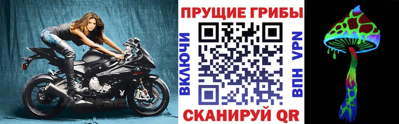 купить наркоту  Волгореченск  Галлюциногенные грибы Cubensis 